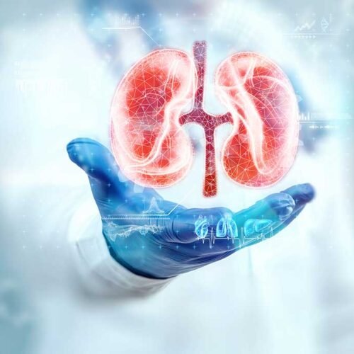 Nephro-Urology & Kidney Transplant