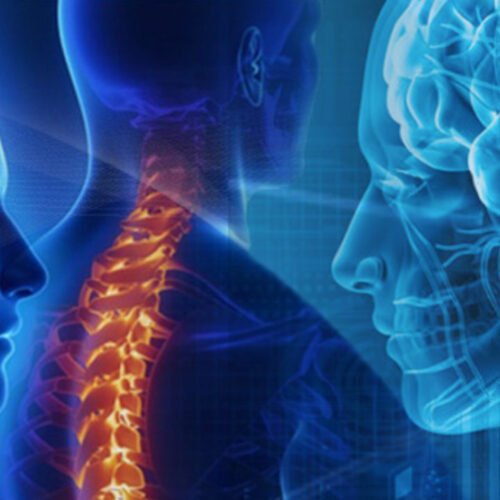 Neurosciences & Spine Surgery