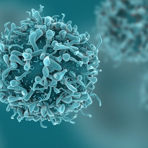 medical oncology Medical Oncology